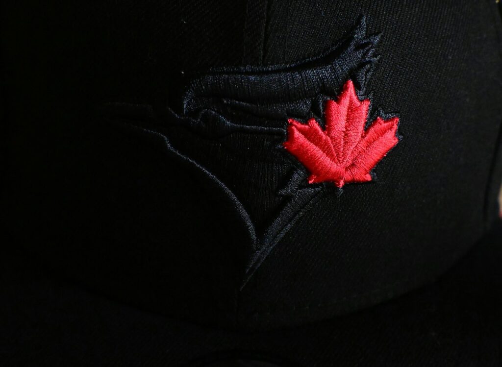 Bordadora Plana y de Gorras FlexColor Pro
